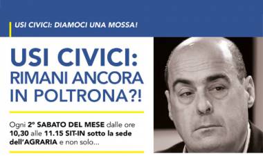 Usi civici: Si rimane ancora nelle prorpie poltrone.
