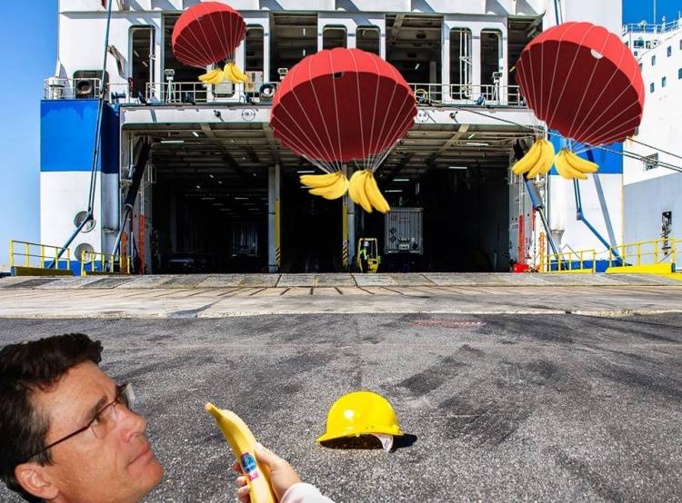 Presidente dell'Autorità Portuale Di Maio